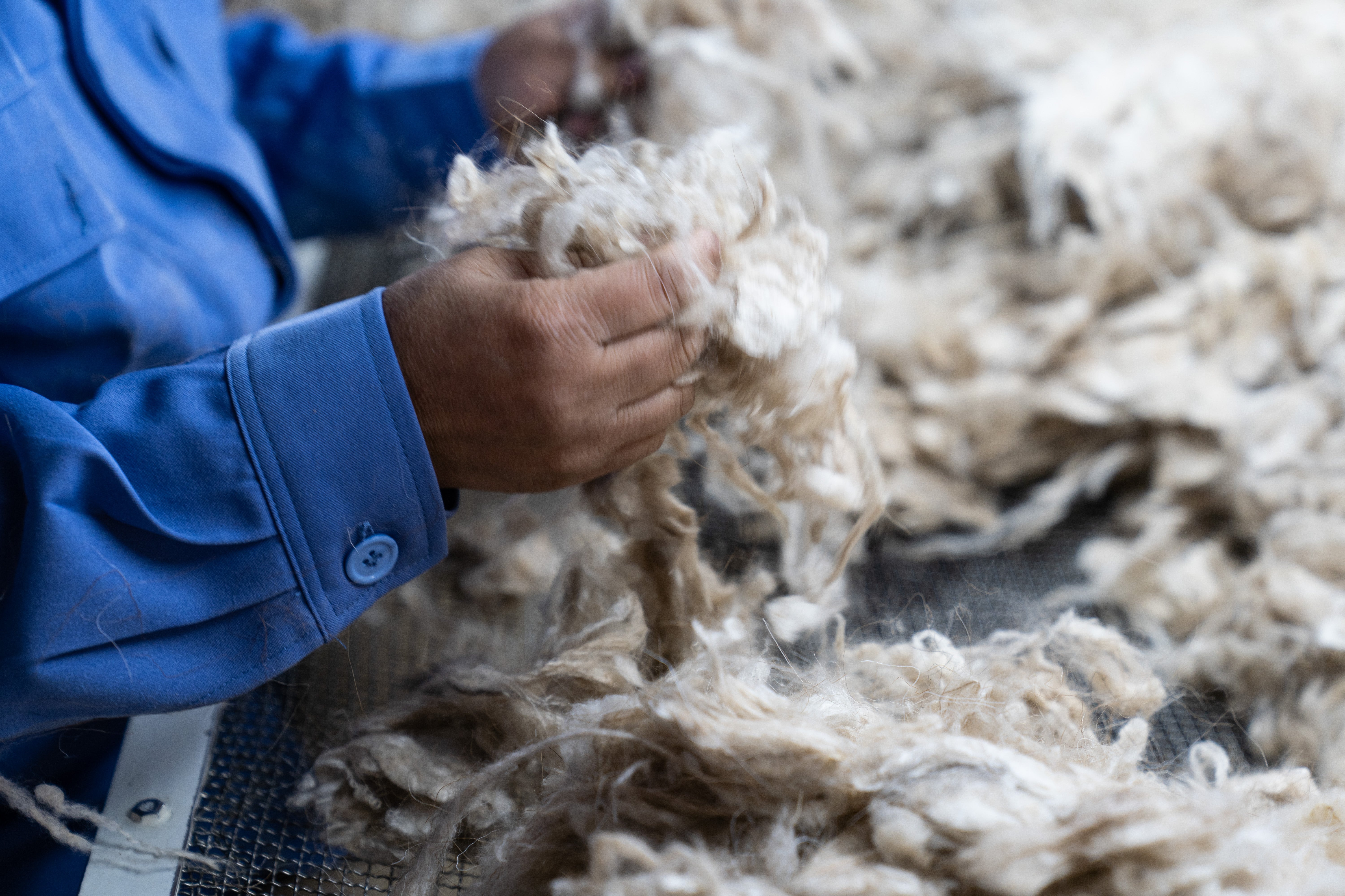 cashmere fibre