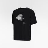 MARIS INTARSIA WHOLEGARMENT TSHIRT / ROA