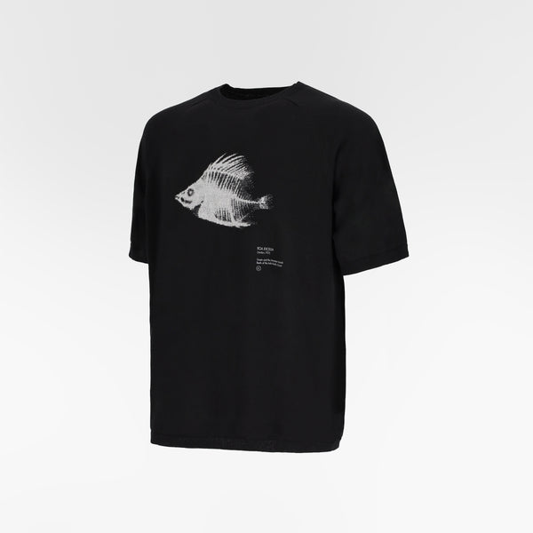MARIS INTARSIA WHOLEGARMENT TSHIRT / ROA