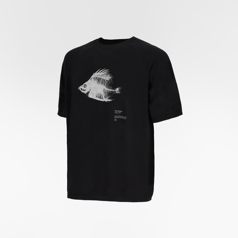 MARIS INTARSIA WHOLEGARMENT TSHIRT / ROA