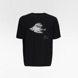MARIS INTARSIA WHOLEGARMENT TSHIRT / ROA