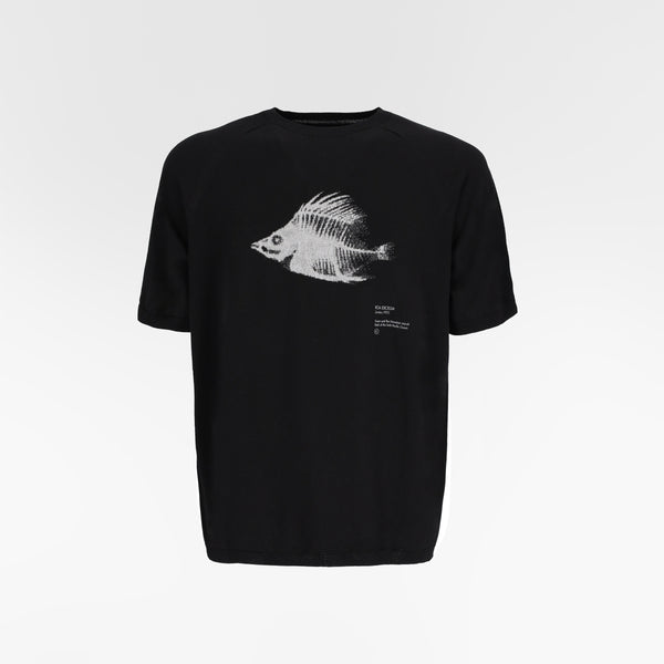 MARIS INTARSIA WHOLEGARMENT TSHIRT / ROA