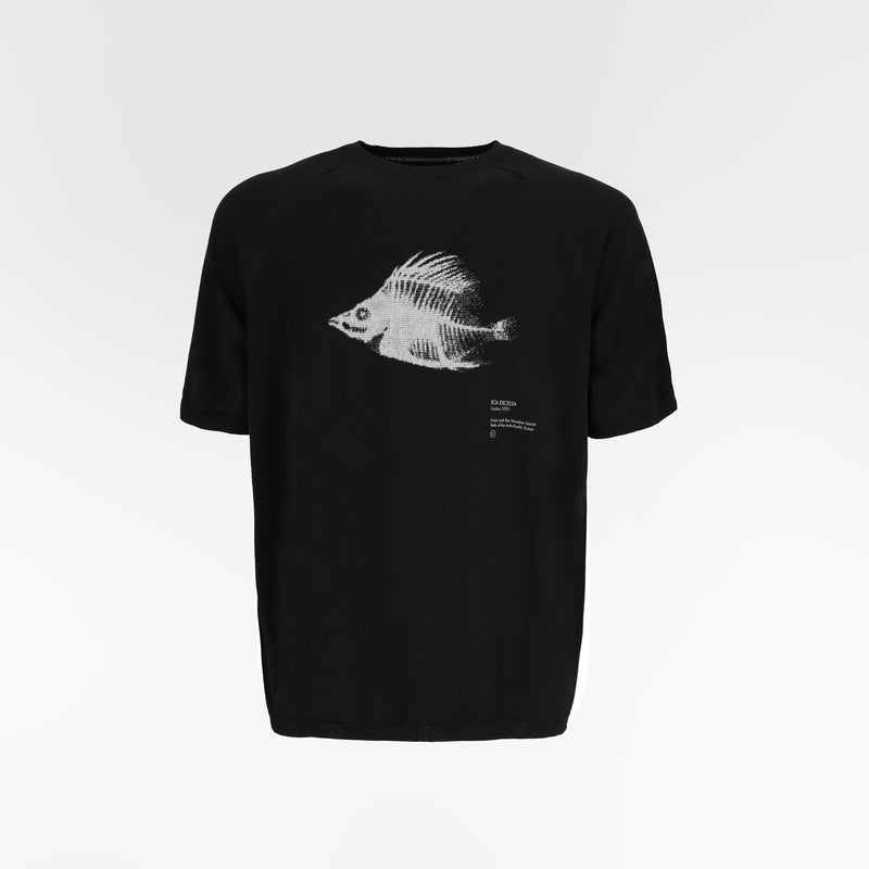 MARIS INTARSIA WHOLEGARMENT TSHIRT / ROA