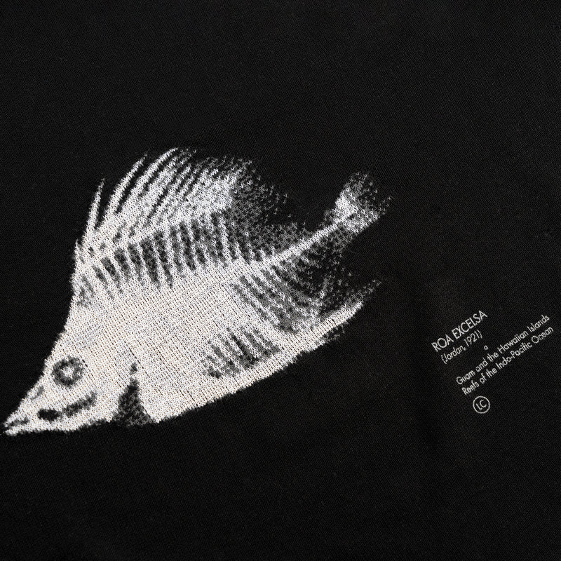 MARIS INTARSIA WHOLEGARMENT TSHIRT / ROA