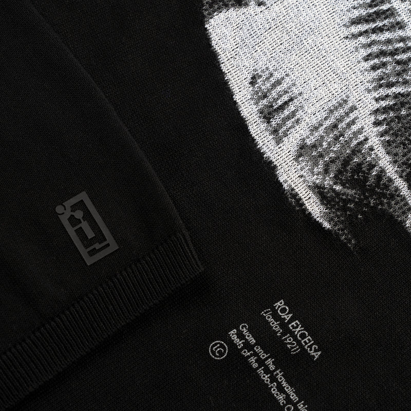 MARIS INTARSIA WHOLEGARMENT TSHIRT / ROA