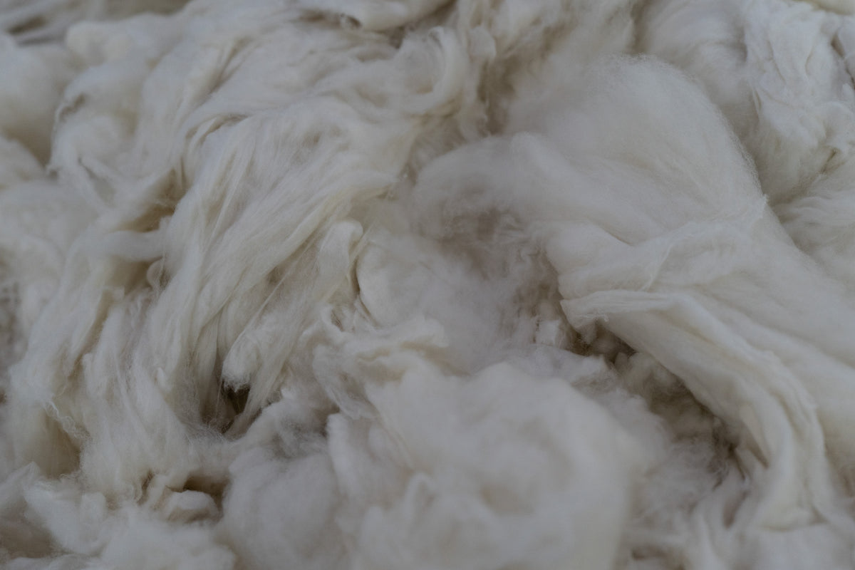 cashmere fiber